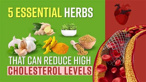 natural cholesterol reducers|best natural treatment for cholesterol.